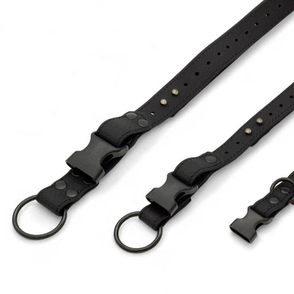 EasyFit waterproof collar for dogs