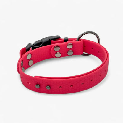 Hexa waterproof neck strap for dogs
