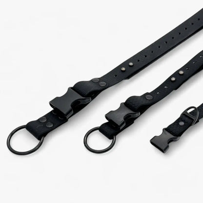 Hexa waterproof neck strap for dogs