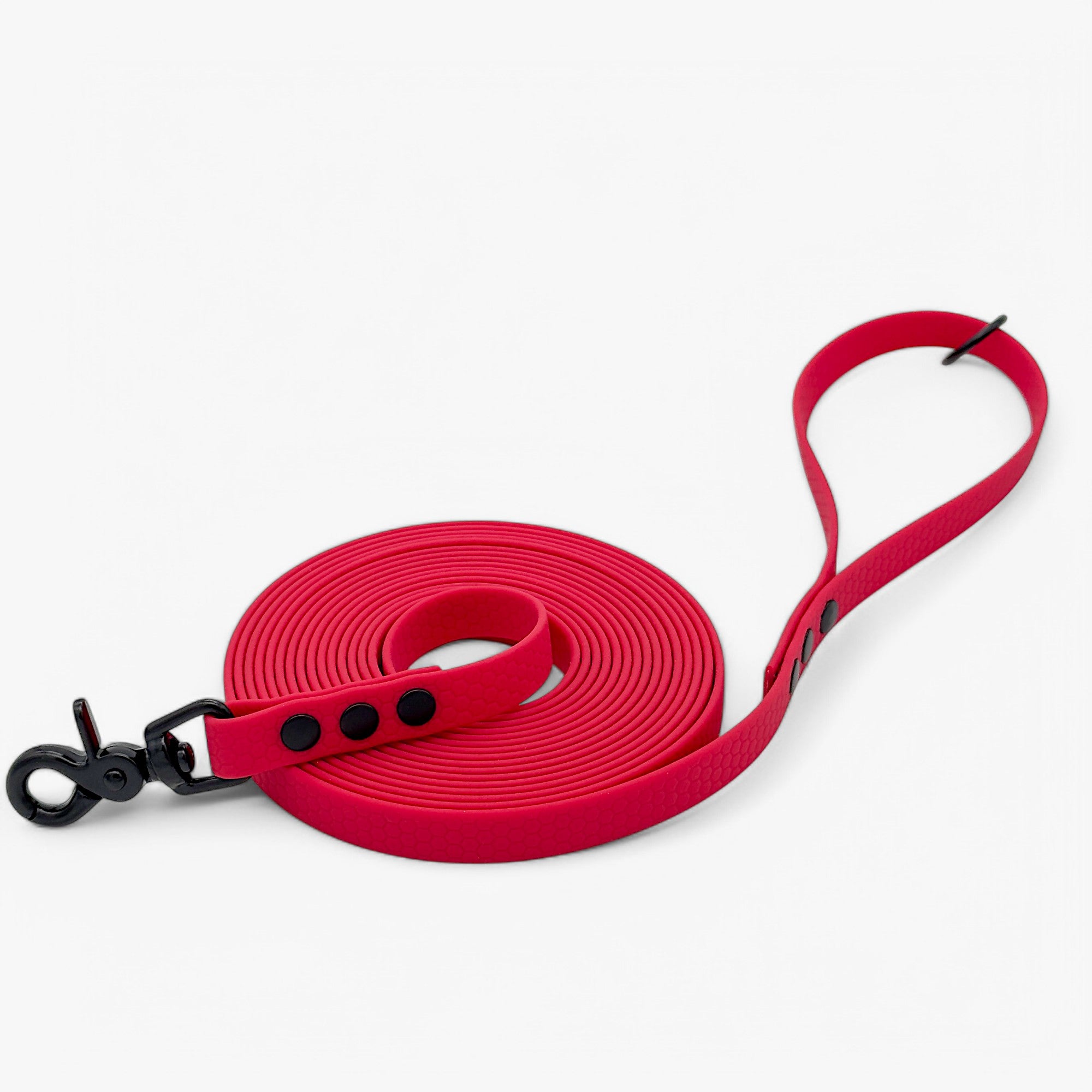 Hexa classic leash