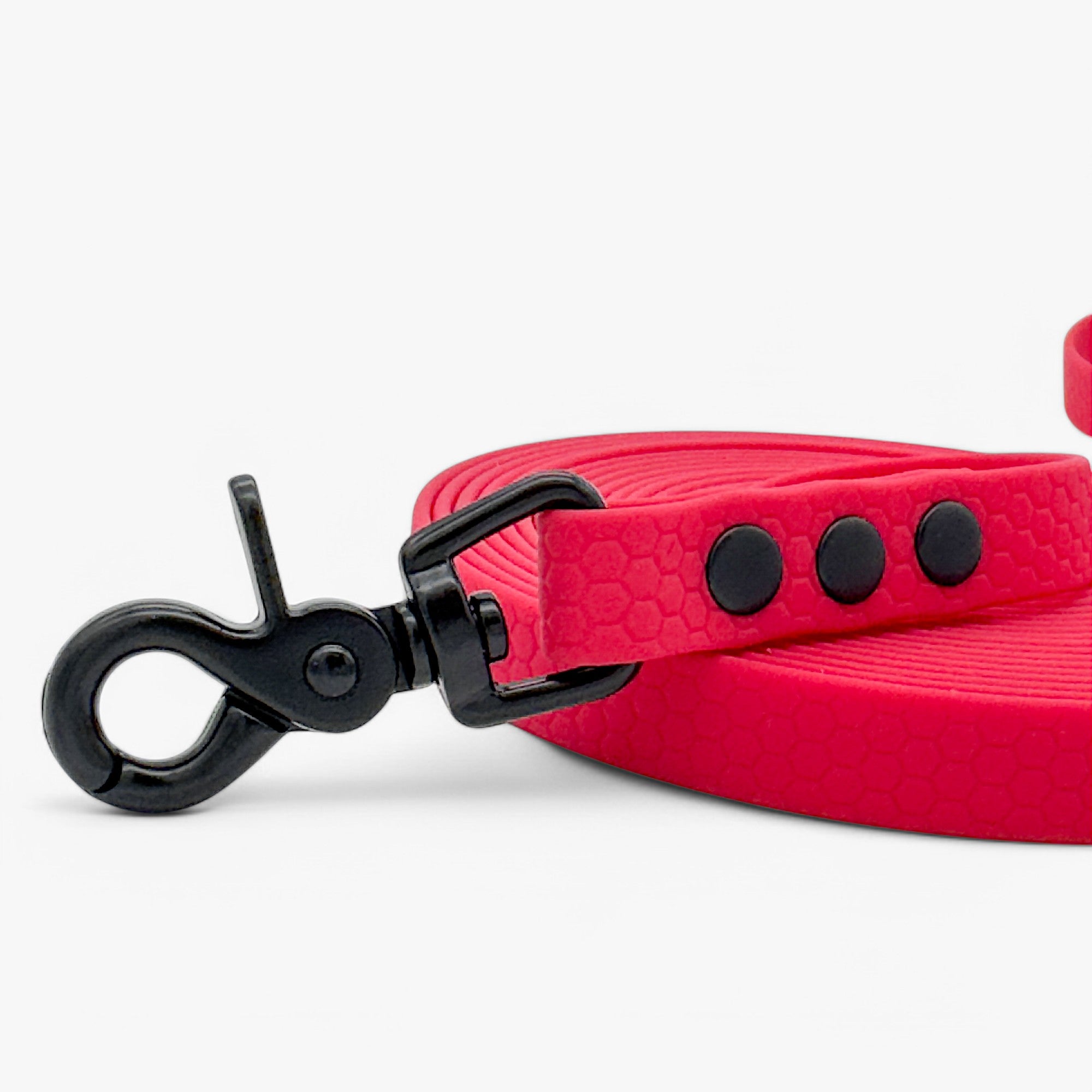 Hexa classic leash