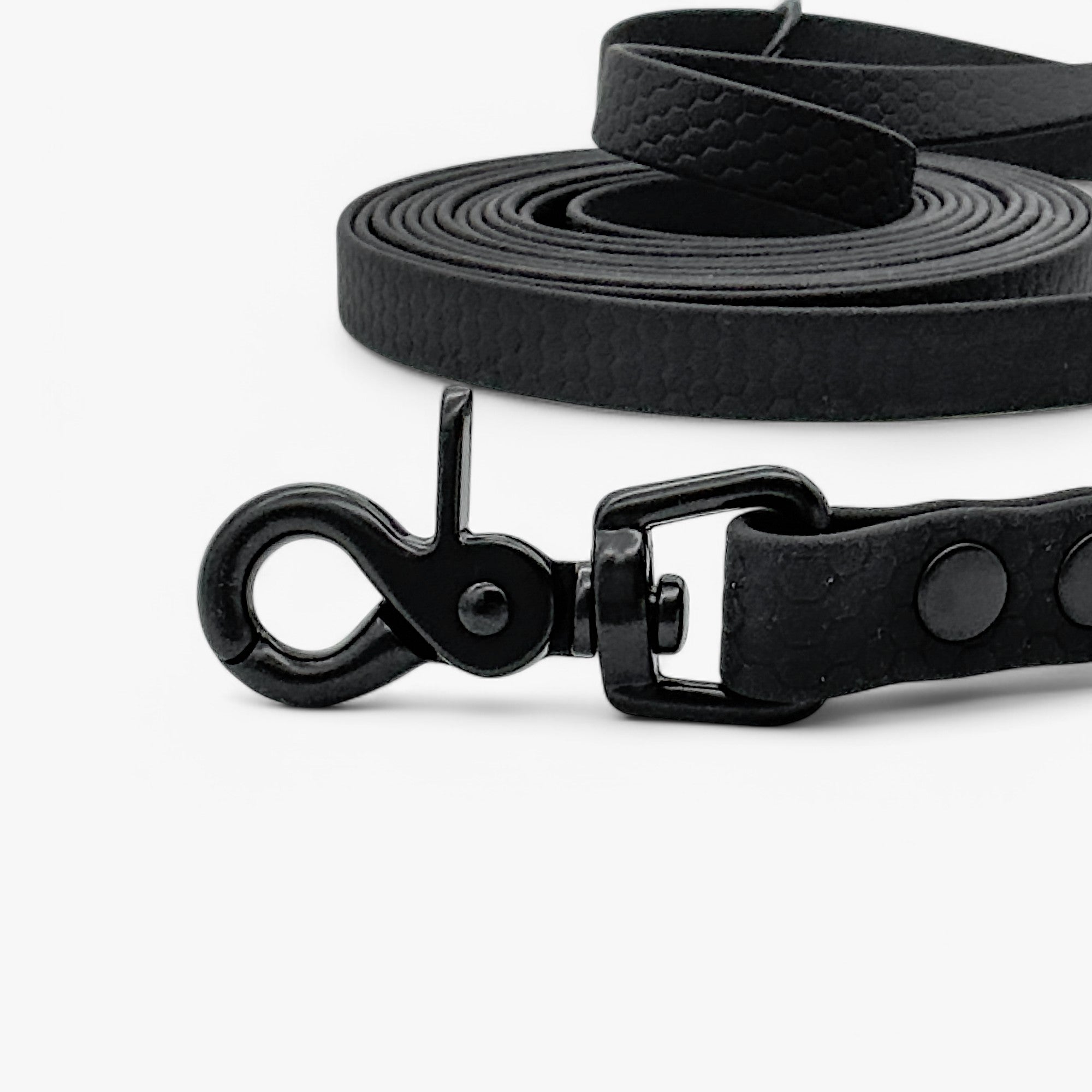 Hexa classic leash