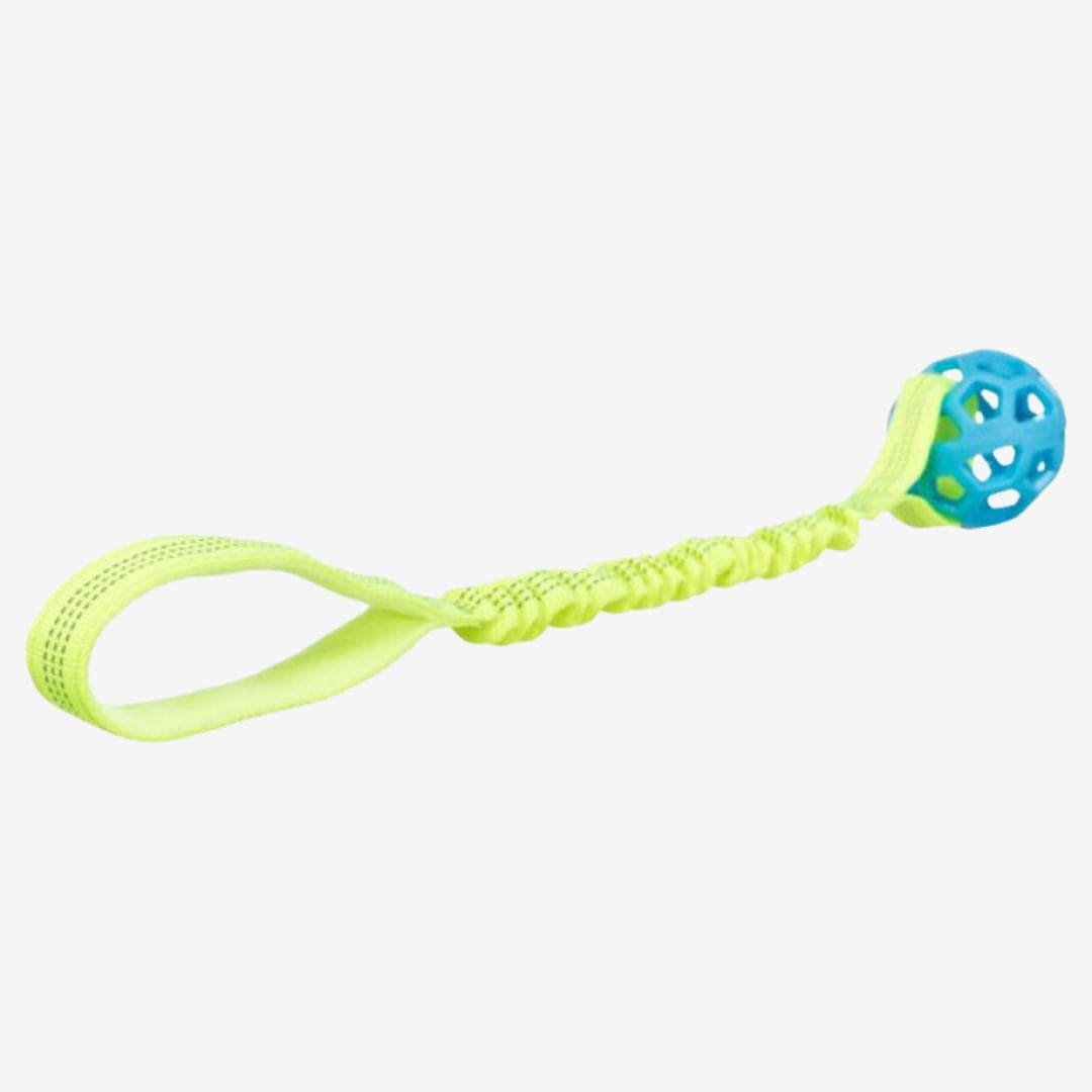 Toy for dogs - Trixie Bungee Tugger with ball