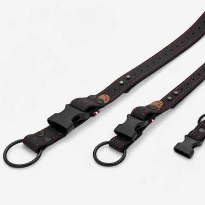 EasyFit waterproof collar for dogs