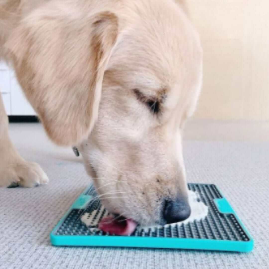 LickiMat Tuff Soother laizīšanas paklājs suņiem - ObiDog