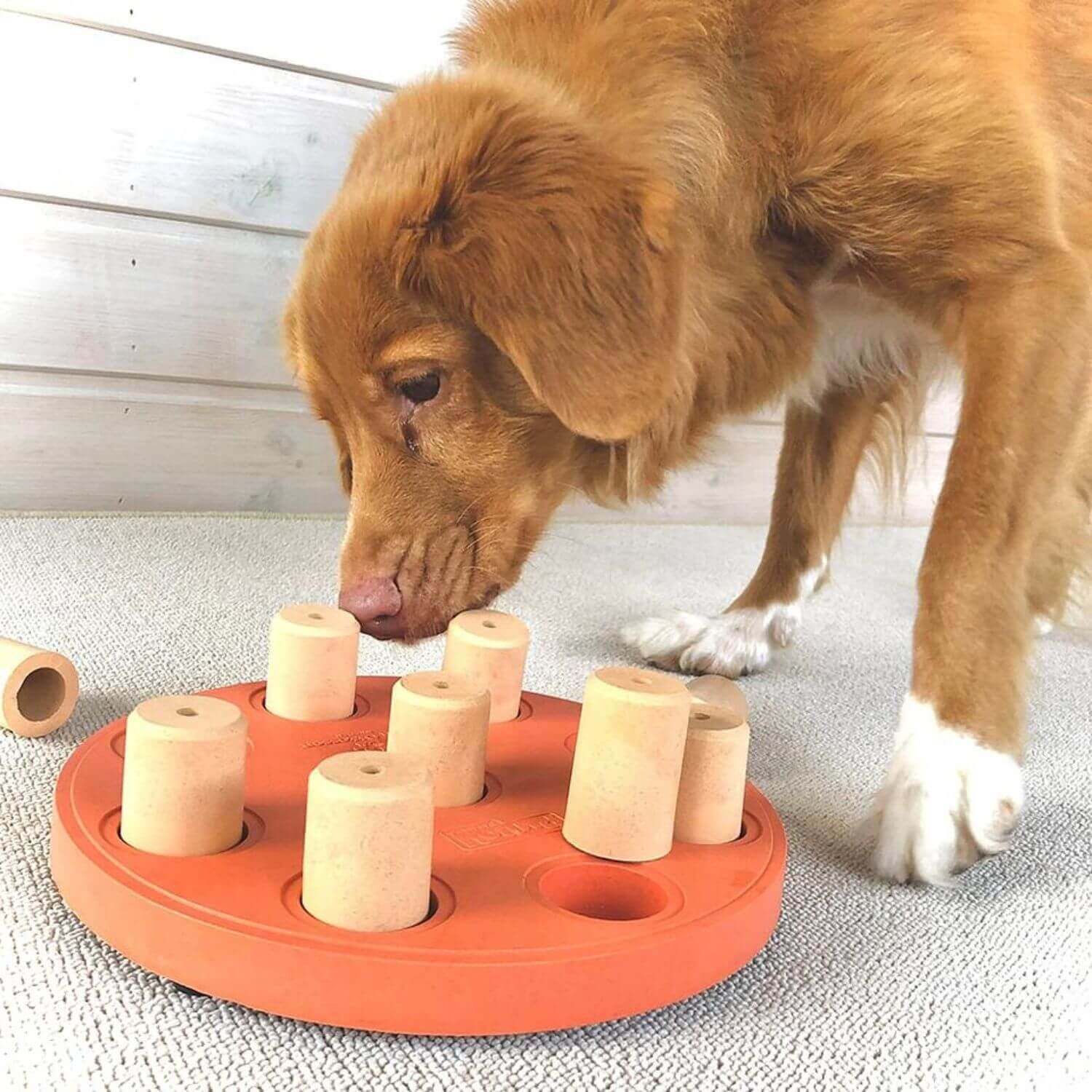 Nina Ottosson Dog Smart interaktīvā rotaļlieta suņiem - ObiDog